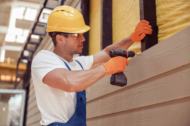 Best Custom Trim and Detailing for Siding  in Brooksi, DE